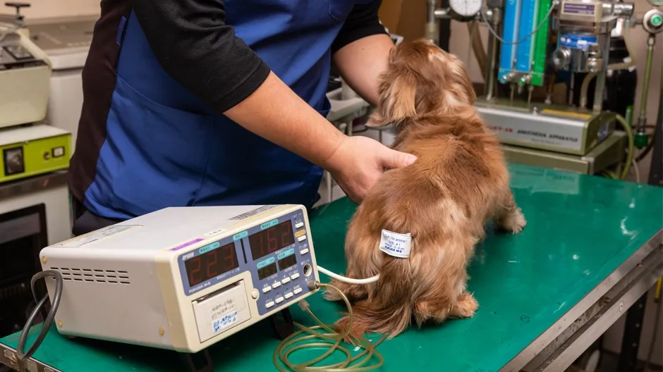 動物用血圧検査機