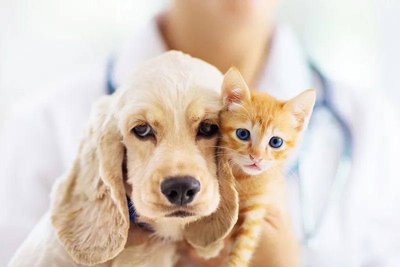 ペットと飼い主様を守る予防医療をご提供